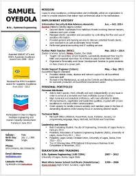 Writing the objective or summary statement. How To Write A Good Cv In Nigeria