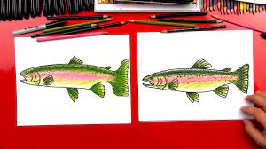 Learn how to draw a rainbow trout fist in this step by step tutorial from the coos art museum. How To Draw A Rainbow Trout Realistic Art For Kids Hub