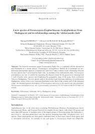 Image result for Paranecepsia alchorneifolia