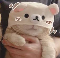 We offer aesthetic pfps self roles colors. Discord Profile Pictures