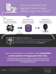 Pin On Peerj Graphical Abstracts
