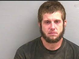 Lee County vehicle stop ends in drug charges