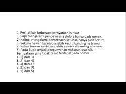 Kisi kisi dan soal penilaian tengah semester gasal mata pelajaran &mldr; Soal Jawaban Uts Biologi Kelas Xi Semester 2 Youtube