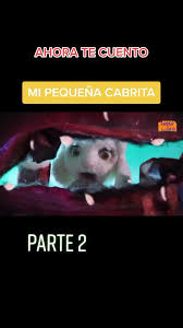 Tu dosis diaria de funcionalidades extra de la app: Ahoratecuento Hashtag Videos On Tiktok