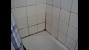 White Mould On Walls