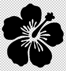Silhouette Hawaiian Hibiscus Flower Png Animals Black And White Drawing Flora Floral De Hawaiian Flower Drawing Hibiscus Flower Drawing Flower Silhouette