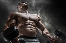 See more of musculation bras on facebook. Biceps Construire Votre Programme D Entrainement