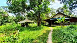 A cafe with a menu and facilities designed especially for the elite and recreational bicyclists, that frequent the hulu langat area. Batu 18 Sungai Lui Hulu Langat Ejen Hartanah Tanah Untuk Dijual Rumah Untuk Dijual Jual Rumah Jual Tanah Ejen Tanah Di Cheras Ampang Kajang Bangi Semenyih Hulu Langat Petaling
