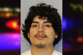 Jose Rocha — Hall County Jail Bookings