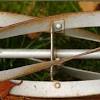 A few have asked recently how to sharpen lawn mower blades so i decided to show you how i sharpen lawn mower blades with a file. Https Encrypted Tbn0 Gstatic Com Images Q Tbn And9gcstbswp Lyiifh20wgrmh3azh2spaox 7omes1bkr Gvj5spmqo Usqp Cau