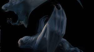 That gives the film fewer opportunities to stop and ponder the philosophical. Seven Skull Island Monsters With Real World Inspirations Wicked Horror