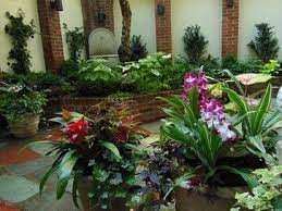 A tropical vacation sounds incredible—but right now it's nothing more than a distant wish. Urban Tropical Garden Tropical Landscape New York R A Nelson Plantsman Tropical Landscaping Tropical Landscape Design Tropical Garden
