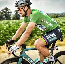 peter sagan stage 14 tdf2018