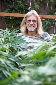 Growers bible jorge cervantes pdf. Jorge Cervantes Wikipedia