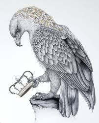 Detailed Black And White Wildlife Drawings Eagle Drawing Art Drawings Sketches Creative Animal Drawings