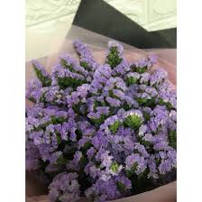 Looking for the best flowers, hand delivered and same day delivery. Daily Special Discount Flowers Forget Me Not Bouquet