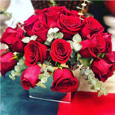 Maybe you would like to learn more about one of these? Red Party By The Flower Choice By The Flower Choice