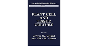 Plant tissue culture is defined as culturing plant seeds, organs, explants, tissues, cells, or protoplasts on a chemically defined synthetic nutrient media under sterile and controlled conditions of light, temperature, and humidity. Amazon Com Plant Cell And Tissue Culture Methods In Molecular Biology 6 9781489943873 Pollard Jeffrey W Walker John M Books