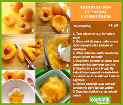 kayisi buyuyen bebegin saglikli gelisimi icin gerekli a vitaminini bolca bulundurur yemek tarifleri mama tarifleri yemek