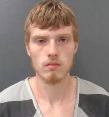 Arrests made in Springfield vehicle theft case