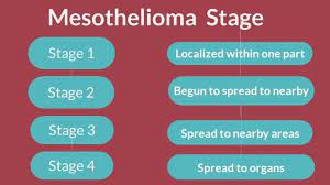 If needed, the mesothelioma justice network will refer those in need to the best fit medical and legal professionals. Mesothelioma Doug Wild Country Fine Arts