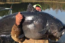 Maybe you would like to learn more about one of these? Tesen Menangkap Ikan Lele Dalam Angka Togel 2d 3d Dan 4d Buku Tafsir Mimpi 2d 3d Dan 4d 2021 Lengkap