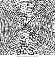 dessin de texture bois mandala d ecorce image vectorielle stock libre droits 1644610093 coloriage soulagement du stress animaux