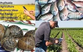 12 Best Lucrative Agricultural Business Ideas Beginners Guide Agriculture Business Fish Farmers Pig Farming