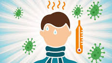 Image result for the flu