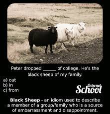 These sheep stand out in the flock and their wool was traditionally considered less valuable as it was not able to be dyed. A Black Sheep Idiom Meaning And Quiz Learn English