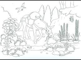 To celebrate 12,000 youtube subscribers, i'm doing a coloring contest! Ivan Coloring Contest