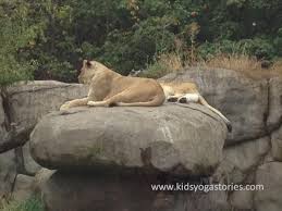 Yoga Poses Lion Extended Cat Pose With Lion S Breath Cat Pose Yoga Poses Cats