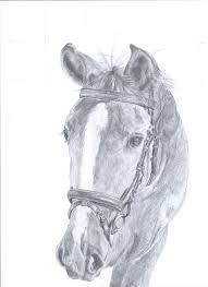 Paarden tekenen, is dat moeilijk of makkelijk? Afbeeldingsresultaat Voor Tekeningen Om Na Te Tekenen In Stappen Dieren Tekenen Tekenen Ogen Cute766