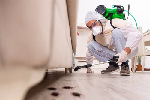 Residential Pest Inspection