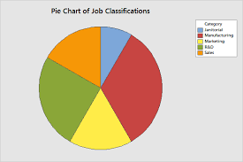 Pie Charts Using Examples And Interpreting Statistics By Jim