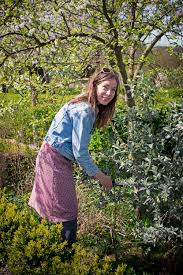 Well i've always found bushel and berry' berries to be both edible and ornamental. Edible Flowers And Meringues Flow Magazine