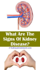 Kidney Cleanse For Stones Polycystic Kidney Disease Kidney Disease Polycystic Kidneys