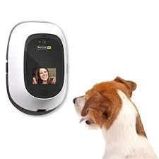 It has numerous features allowing to play. The 7 Best Pet Cameras Of 2021