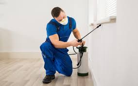 Alibaba.com offers a broad range of. Complete List Of Approved Pest Control Companies In Sharjah Mybayut