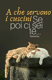 Pin Su Cuccioli Di Animali