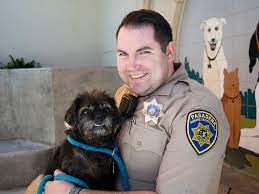 Animal Control Officer - Pasadena Humane