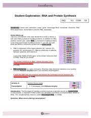 Carbohydrate, disaccharide, lipid, monosaccharide, polysaccharide, protein, starch prior knowledge. Assignment 5 Doc Student Exploration Rna And Protein Synthesis Inq 12 Com Vocabulary Amino Acid Anticodon Codon Gene Messenger Rna Nucleotide Ribosome Course Hero