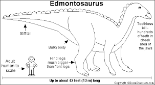 Shooting each dinosaur that comes in your way. Edmontosaurus Enchanted Learning Software