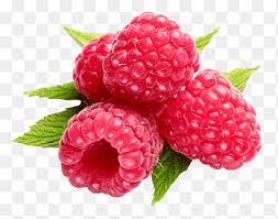 Collection by washington red raspberries. Raspberry Png Images Pngegg