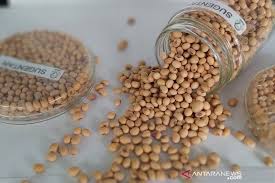 Diet tinggi protein adalah diet yang fokus untuk meningkatkan asupan protein serta mengurangi asupan lemak dan karbohidrat. Kedelai Batan Lebih Tinggi Protein Rendah Lemak Daripada Kedelai Impor Antara News