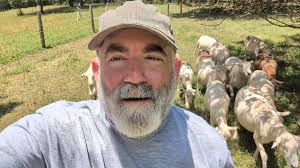 Leading the ruminants to the next pasture.