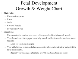 Pcd Fetal Development Trimester By Trimester Month By Month