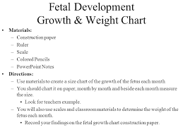 pcd fetal development trimester by trimester month by month