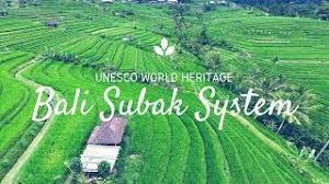 Sistem irigasi subak (smartpoint sd5009eks)подробнее. Subak Bali Youtube
