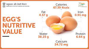 All About Eggs Vikaspedia